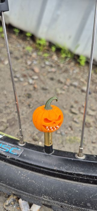 Вело колпачки нипель AV, presta.