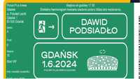 1 VIP Bilet DAWID PODSIADŁO Gdańsk 2024