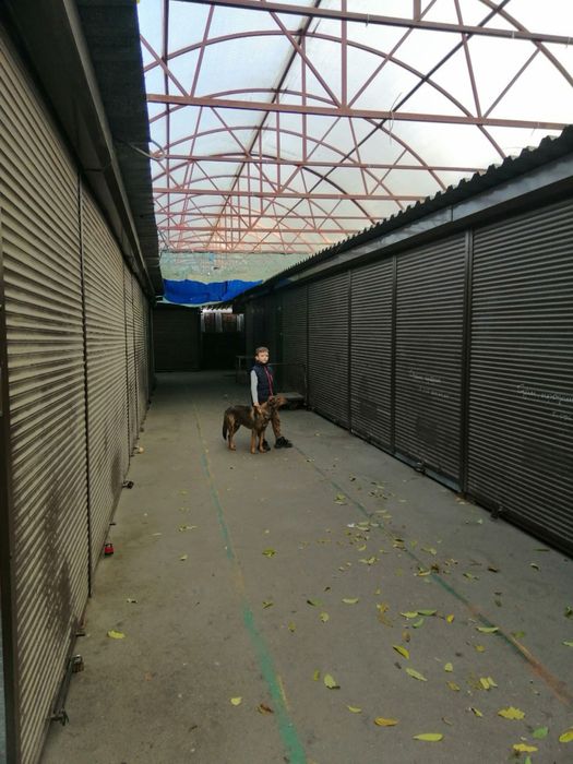 Сдам в аренду контейнер