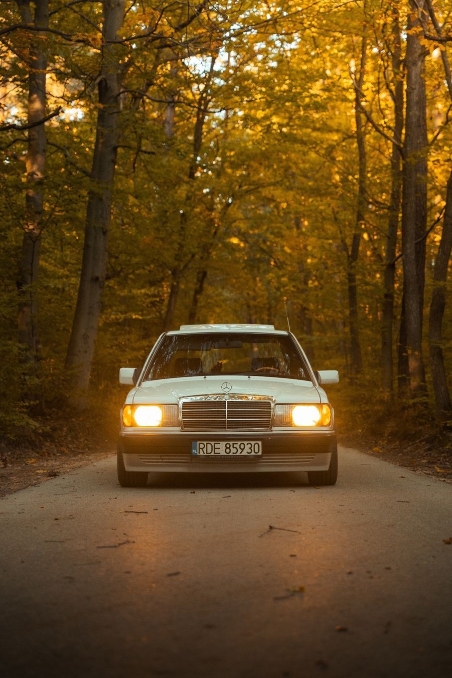 Mercedes-Benz W201 (190) Mercedes 190E W201 stan idealny (stance, bbs, gwint)