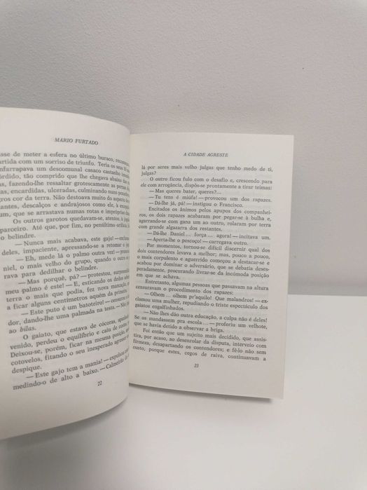 A Cidade Agreste, de Mário Furtado