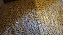 Champi żwirek pellet drzewny drewniany 15 kg dla kota, królika,  śwink