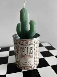Świeczka dekoracyjna kaktus