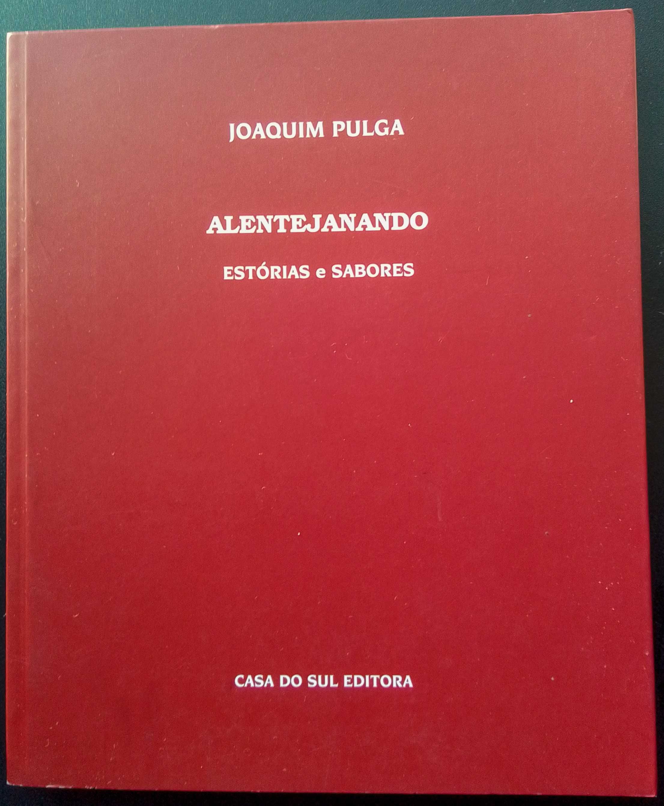 Pack de treze livros variados de autores portugueses