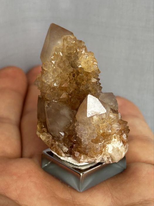 Kwarc kaktusowy, limonit - RPA