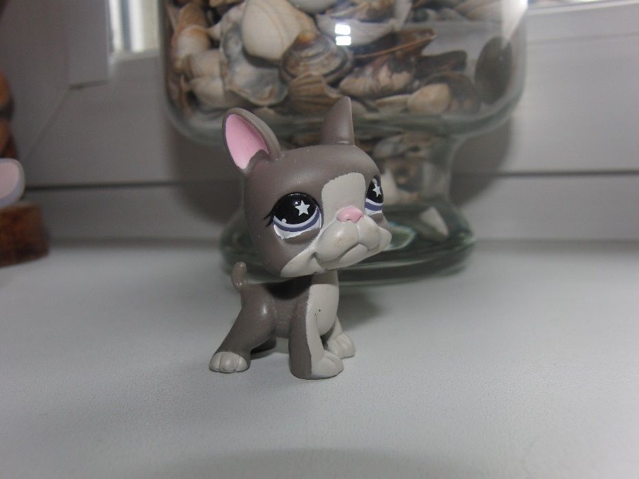 Littlest Pet Shop Boston Terrier Szary piesek Purple Eye2004 UNIKAT