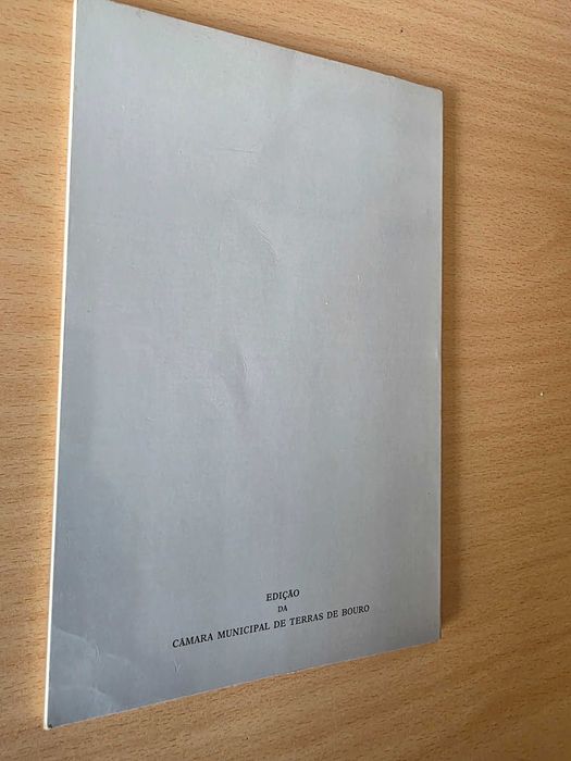 Livro "Os Búrios" de Domingos Maria da Silva