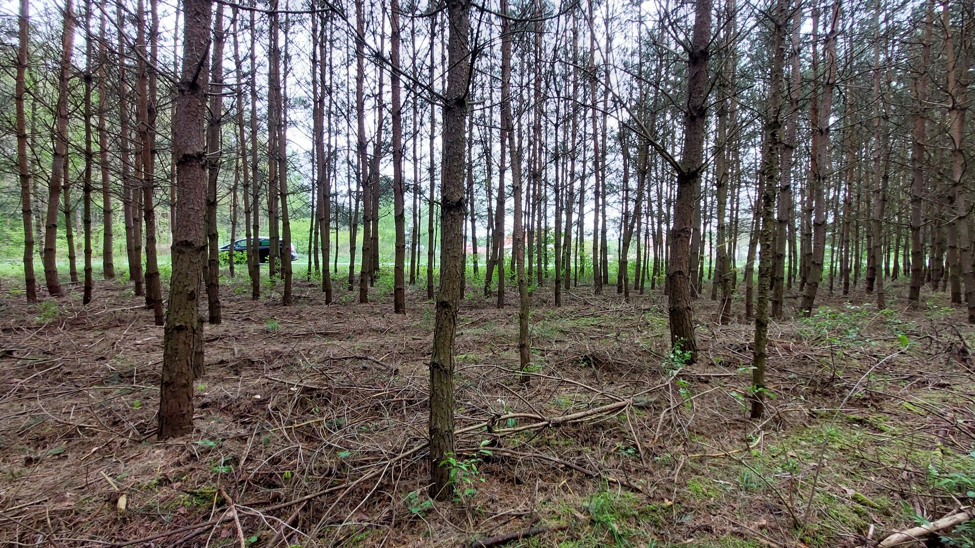 Działka budowlana ok. 1500m2 Kurnos Drugi.