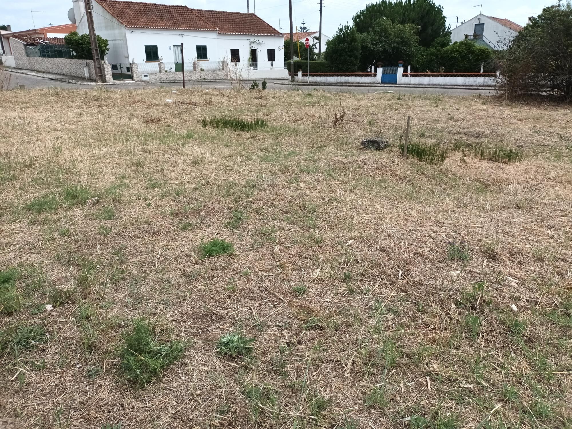 Vendo 2 terrenos urbanos com ligação entre si