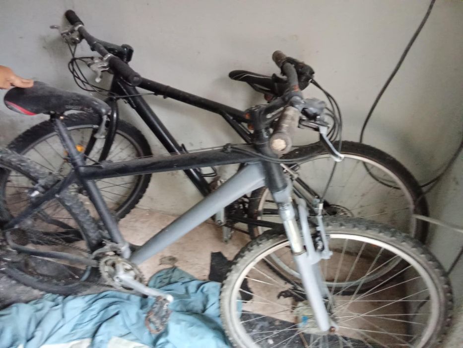 Bicicletas adulto