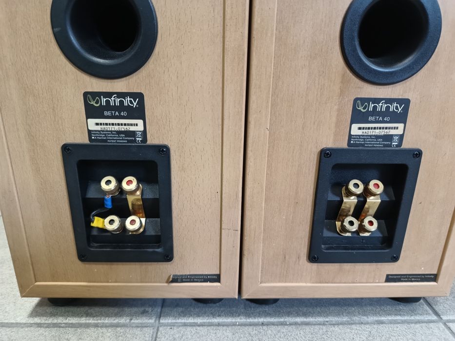 Kolumny podłogowe renomowanej amerykańskiej firmy infinity model Beta