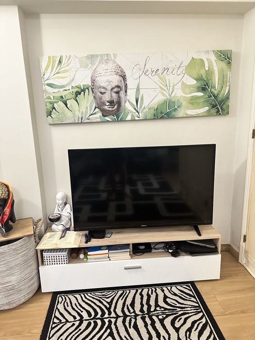 Televisor de 55 polegadas