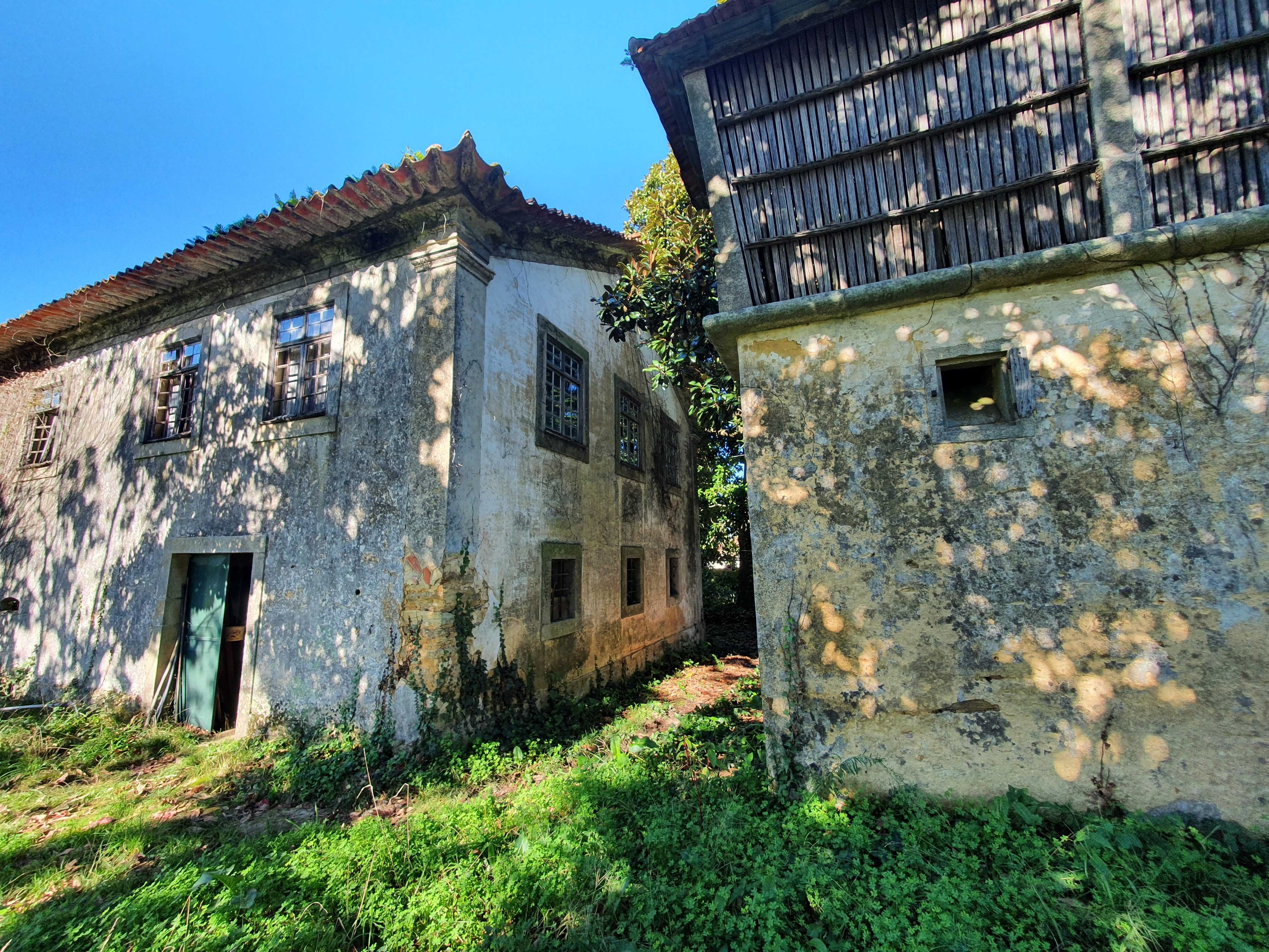 Quinta / Terreno / Propriedade - Investidores