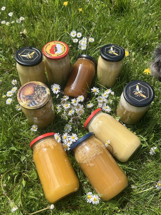 Naturalny miód z Mazur z wlasnej pasieki