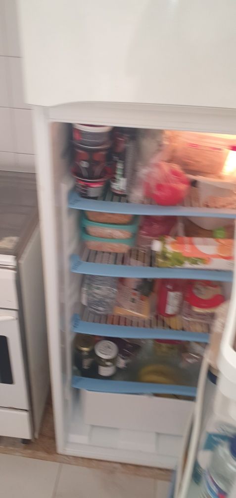 FRIGORÍFICO  usando