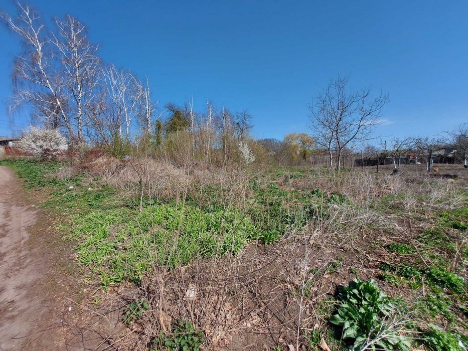 Земельна ділянка, площею 0,1239 га, Вінницька обл.