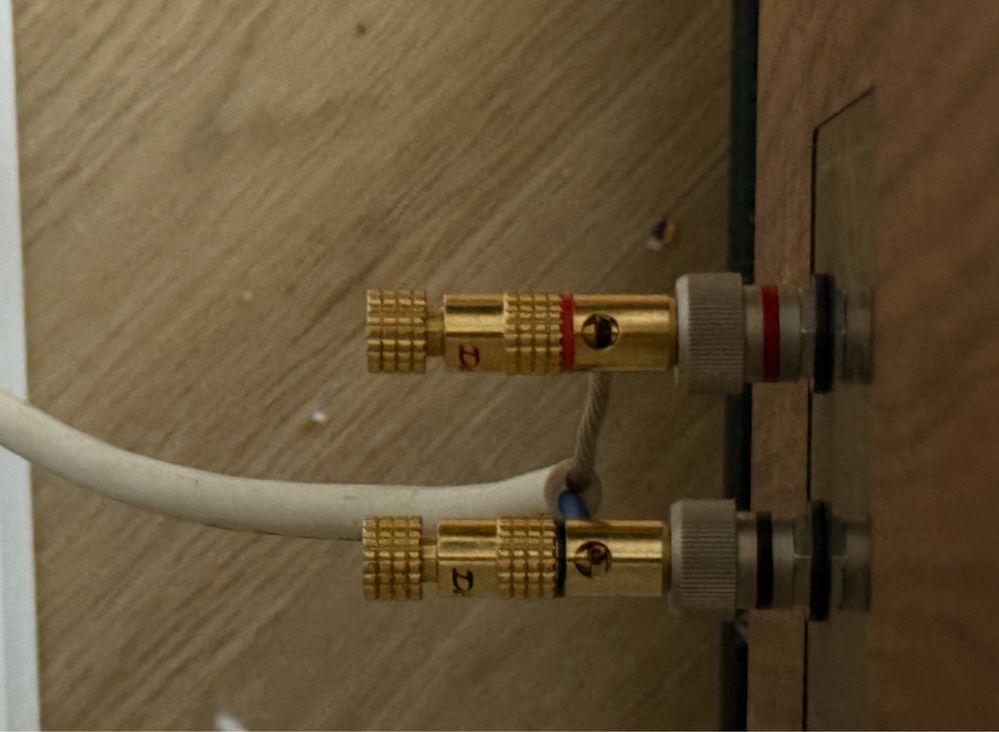 Pylon Jade 20 + Wiim Amp + dobry kabel z oryginalnymi podstawkami