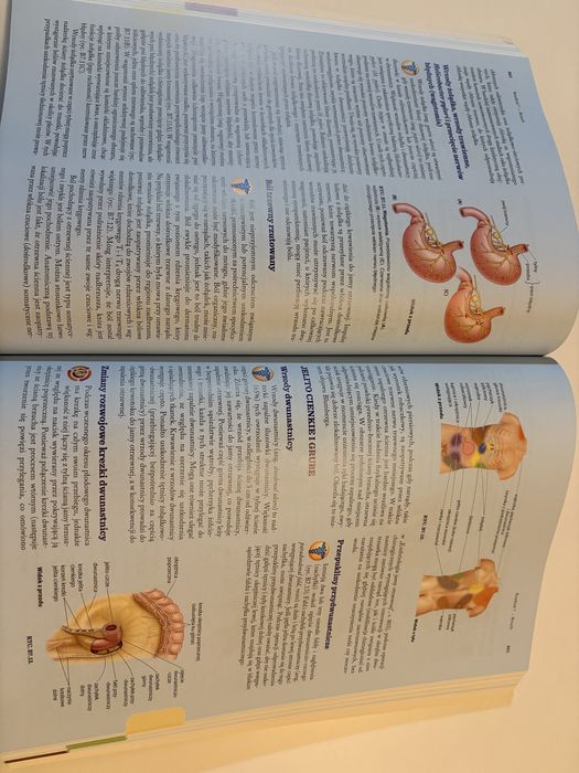 Anatomia kliniczna Moore tom 1+2 (komplet) NOWA