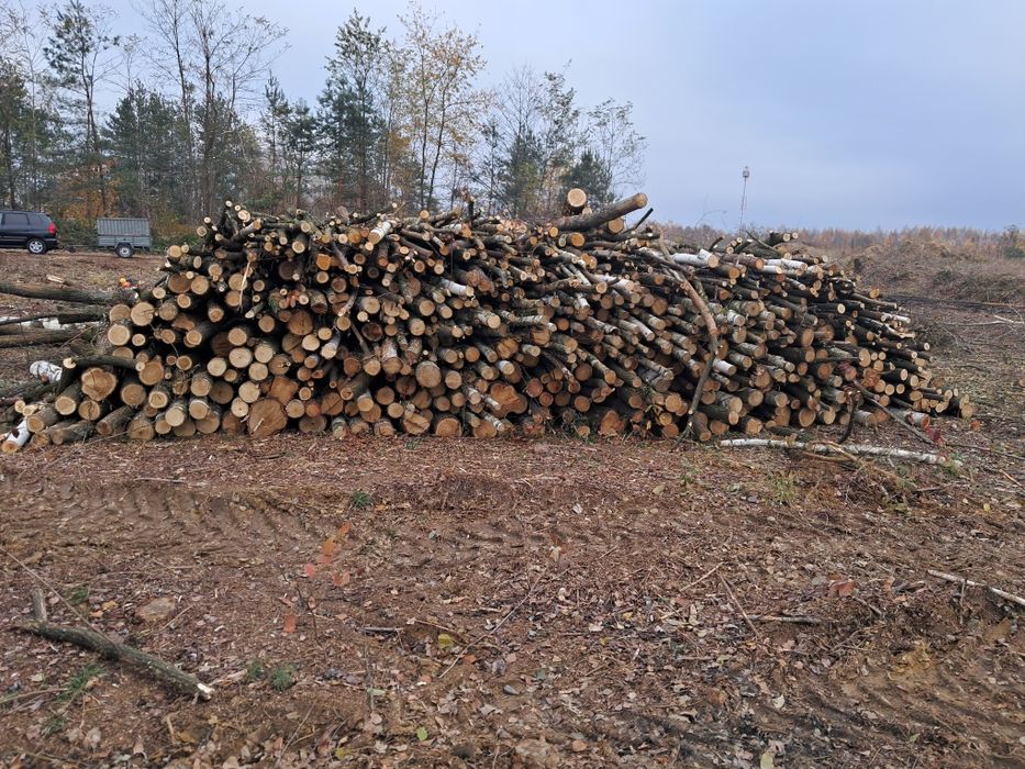 Drewno drzewo opałowe