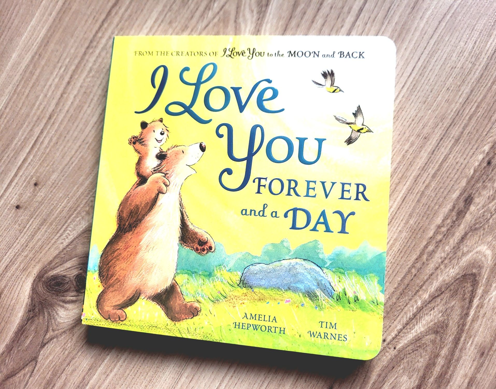 I Love You Forever and a Day opowieści o miłości board book