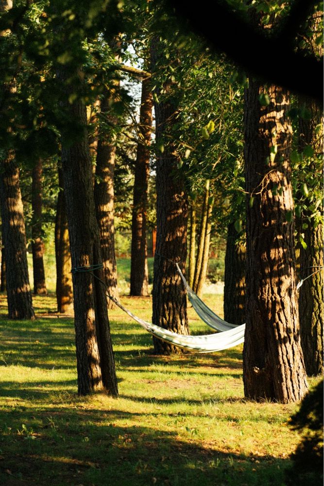 Domek w lesie, grill, kort, plaża, stawy niedaleko Warszawy