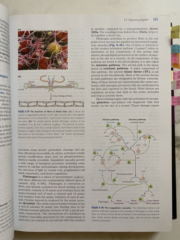 Livro técnico Lehninger - Principles of Biochemistry 6th Edition