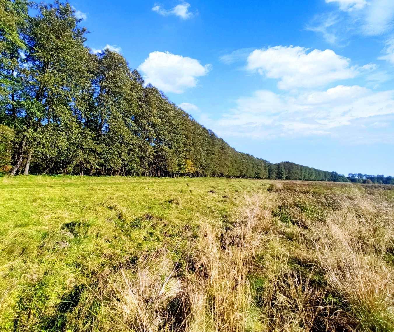 Продаж, Земельна  Ділянка, біля Річки! 1,88 Га