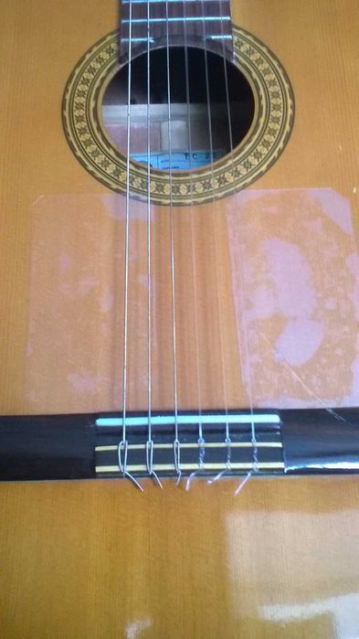 Guitar.Epiphone EC-22