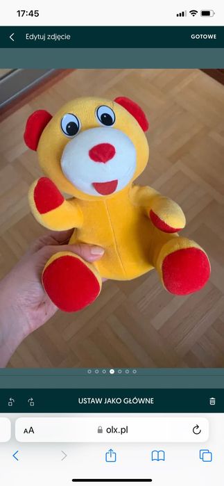 Mis maskotka, kolorowy mis