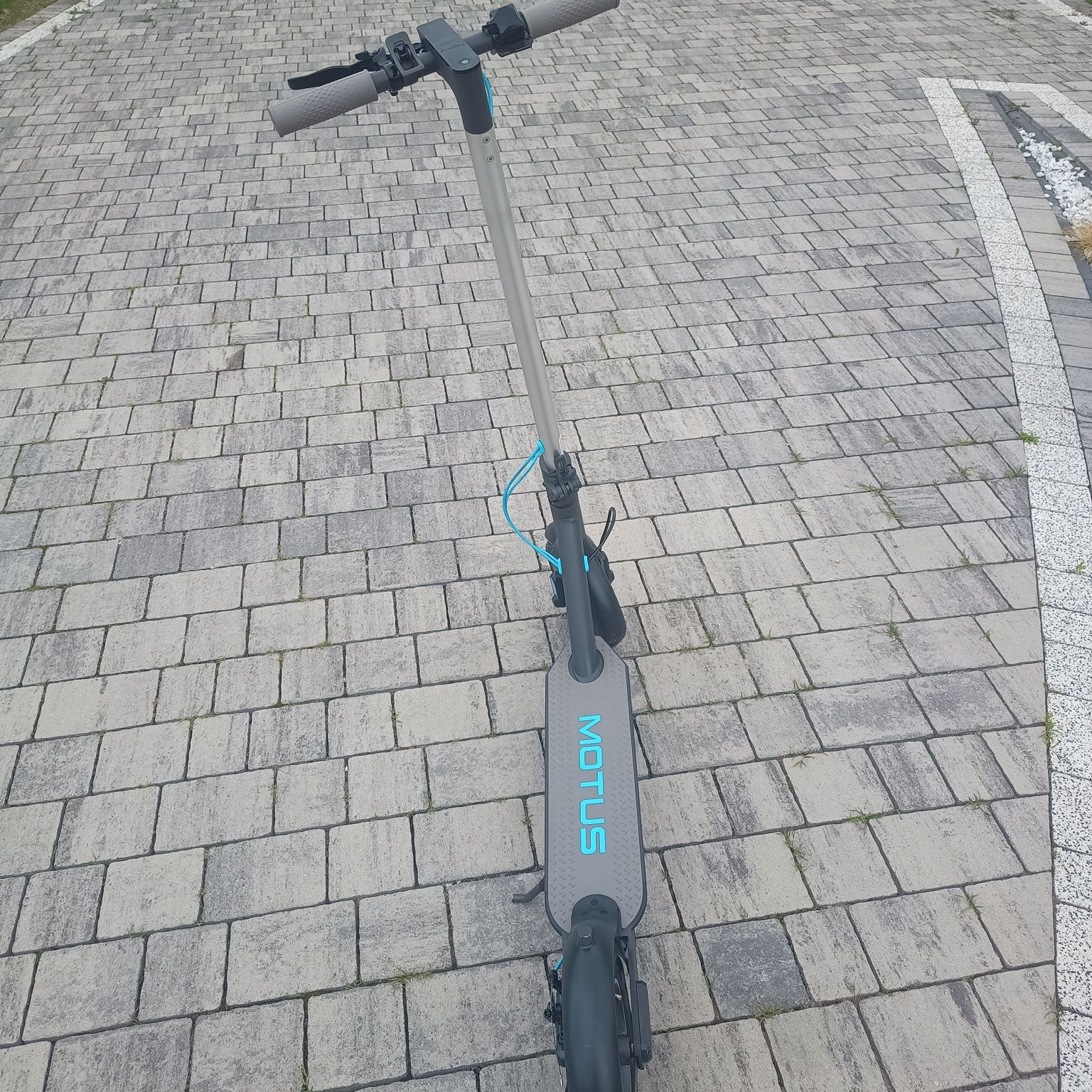 Motus Scotty 10 lite