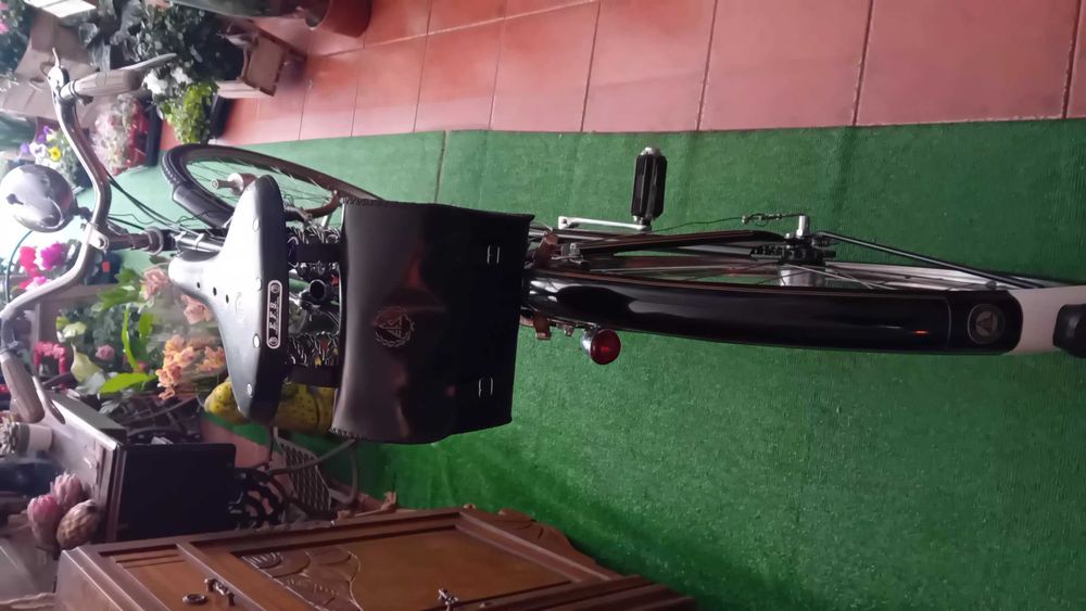 Bicicleta pasteleira  efs