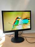 Монітор Iiyama 22” / TN / WSXGA+ / 60 Гц