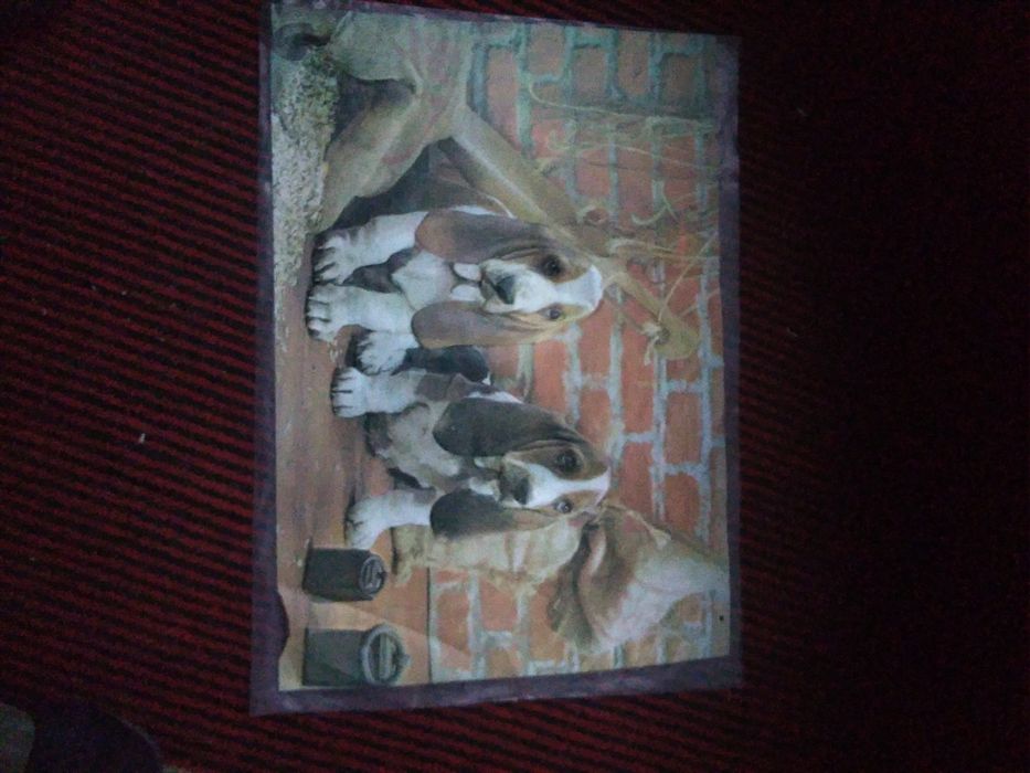 Пано  плакат  СССР