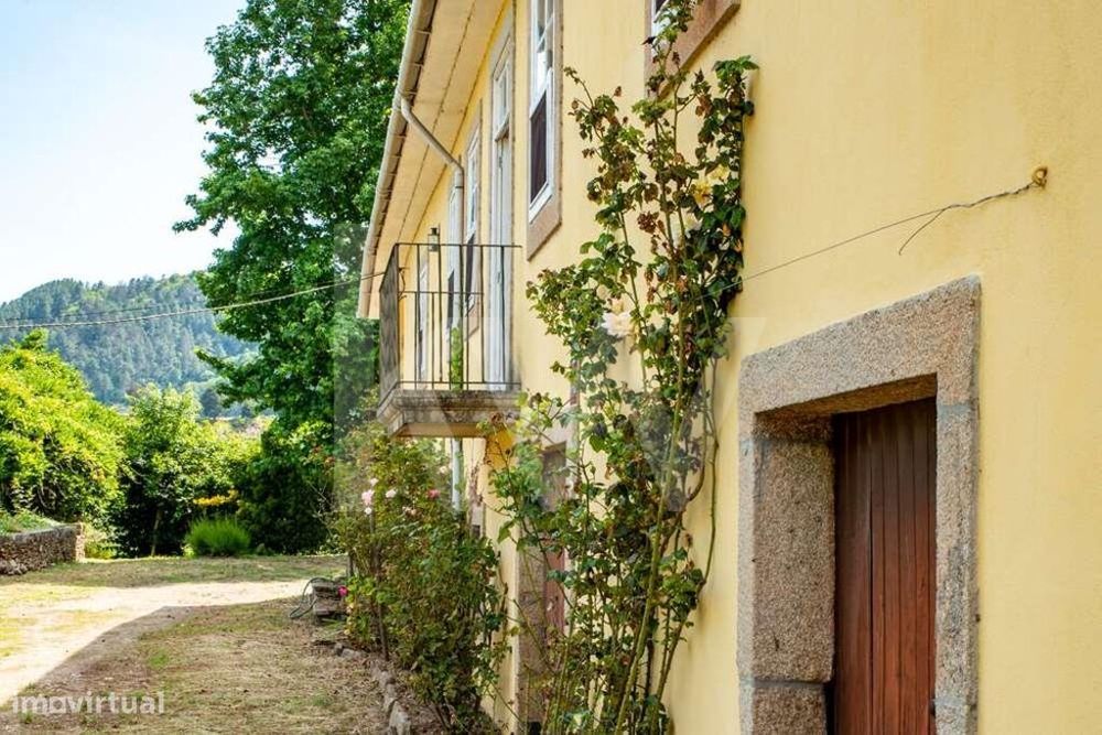 Quinta No Douro Com Vinha De Região Demarcada