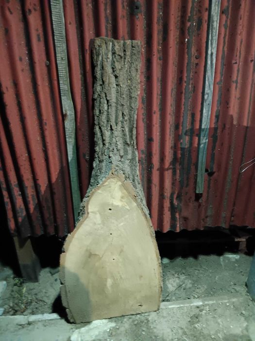 Plaster jesionu, tarcica