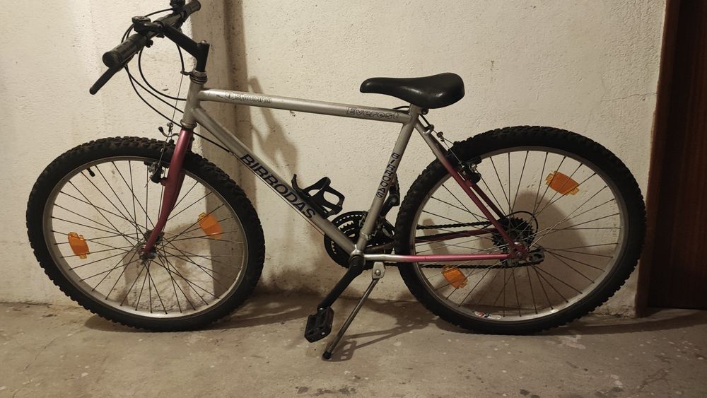 Bicicleta Birrodas