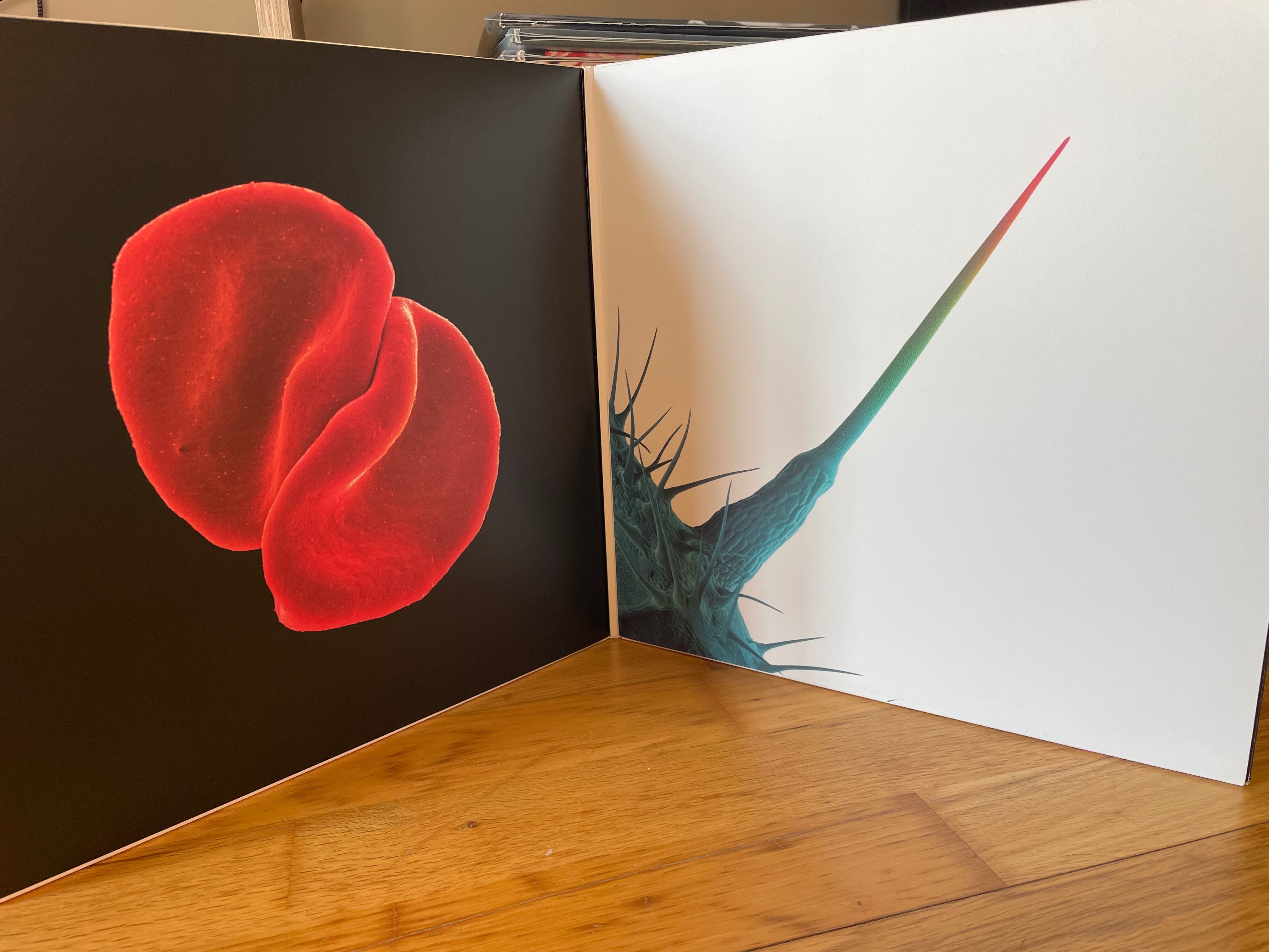 Disco Vinil Peter Gabriel