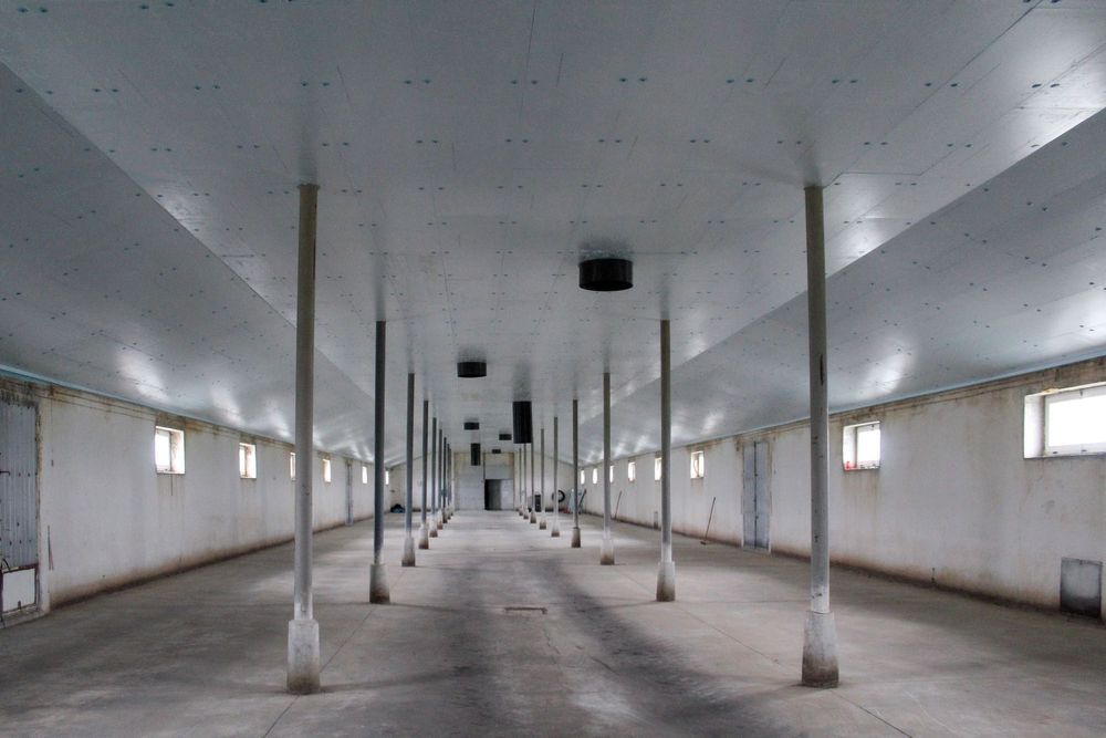 Płyty Termoizolacyjne Podsufitowe Podsufitka Styrodur XPS AGRO