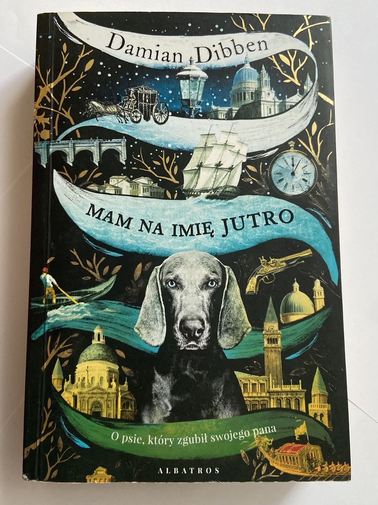 Książka Damian Dibben Mam na imię Jutro