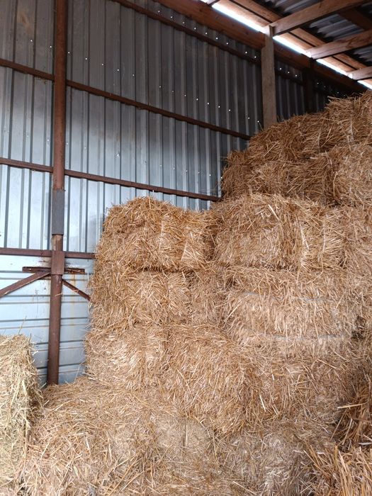 Тюки для господарства: солома