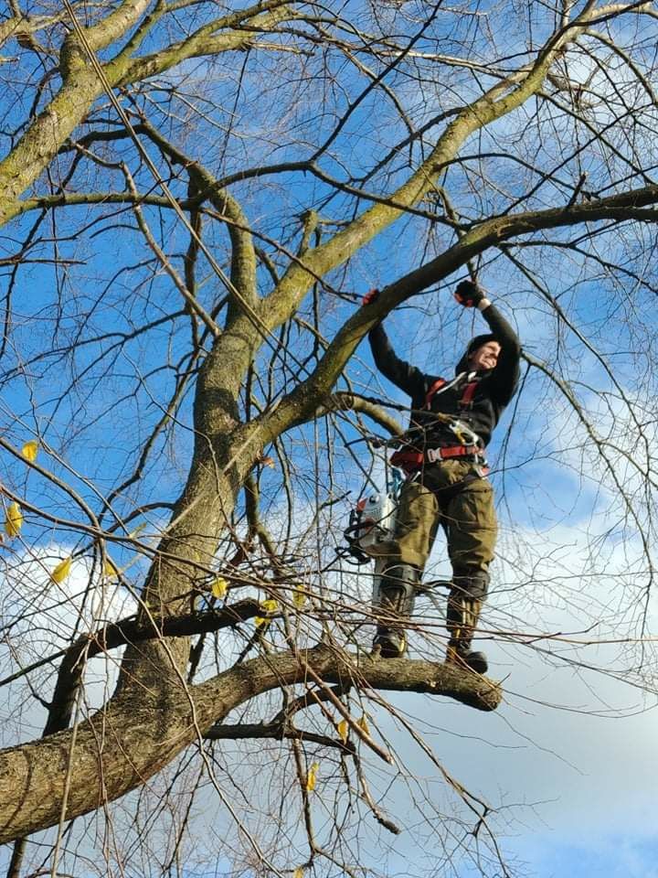 Wynajem.Podnośnik koszowy.zwyżka.usługi ALPINISTYCZNE wycinka drzew