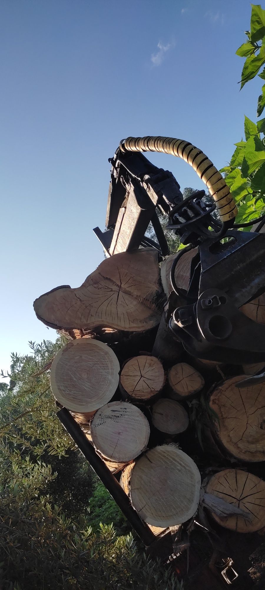 Lenha Seca Eucalipto/Pinho