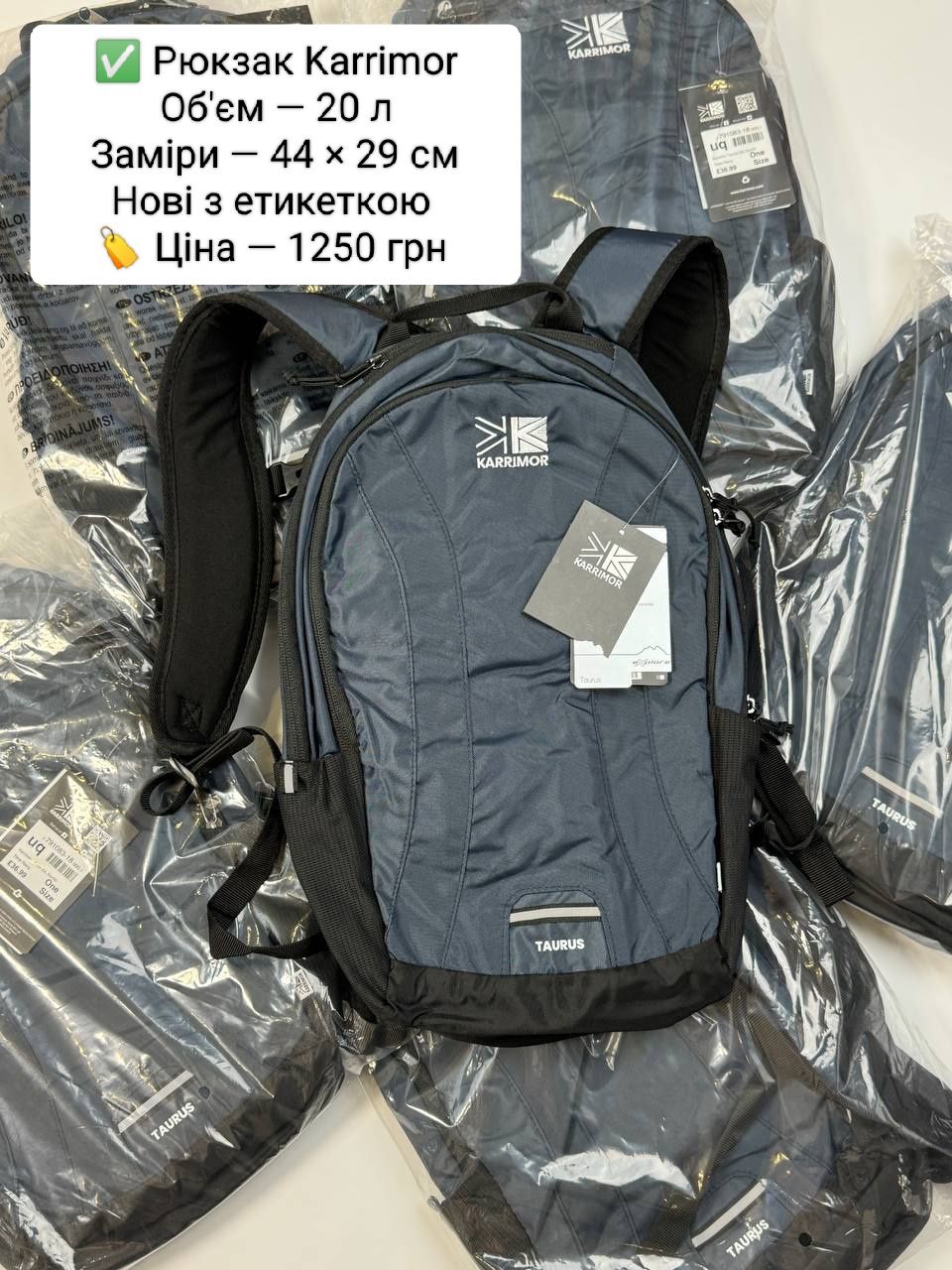 Föhn + рейнкавер‼️Туристичний рюкзак із дощовиком для трекінгу походів