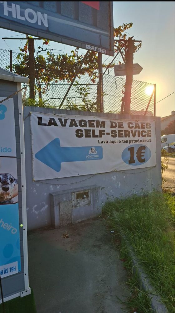 Trespasse Lavagem de Cães Self-service