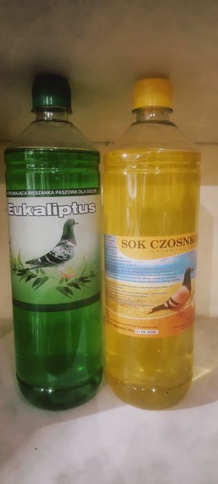 Eukaliptus, sok czosnkowy dla gołębi kur papug  zdrowie naszych ptaków