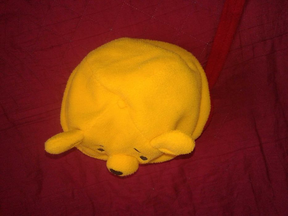 Czapka zimowa  Disney (12- 24 miesięcy) z polaru