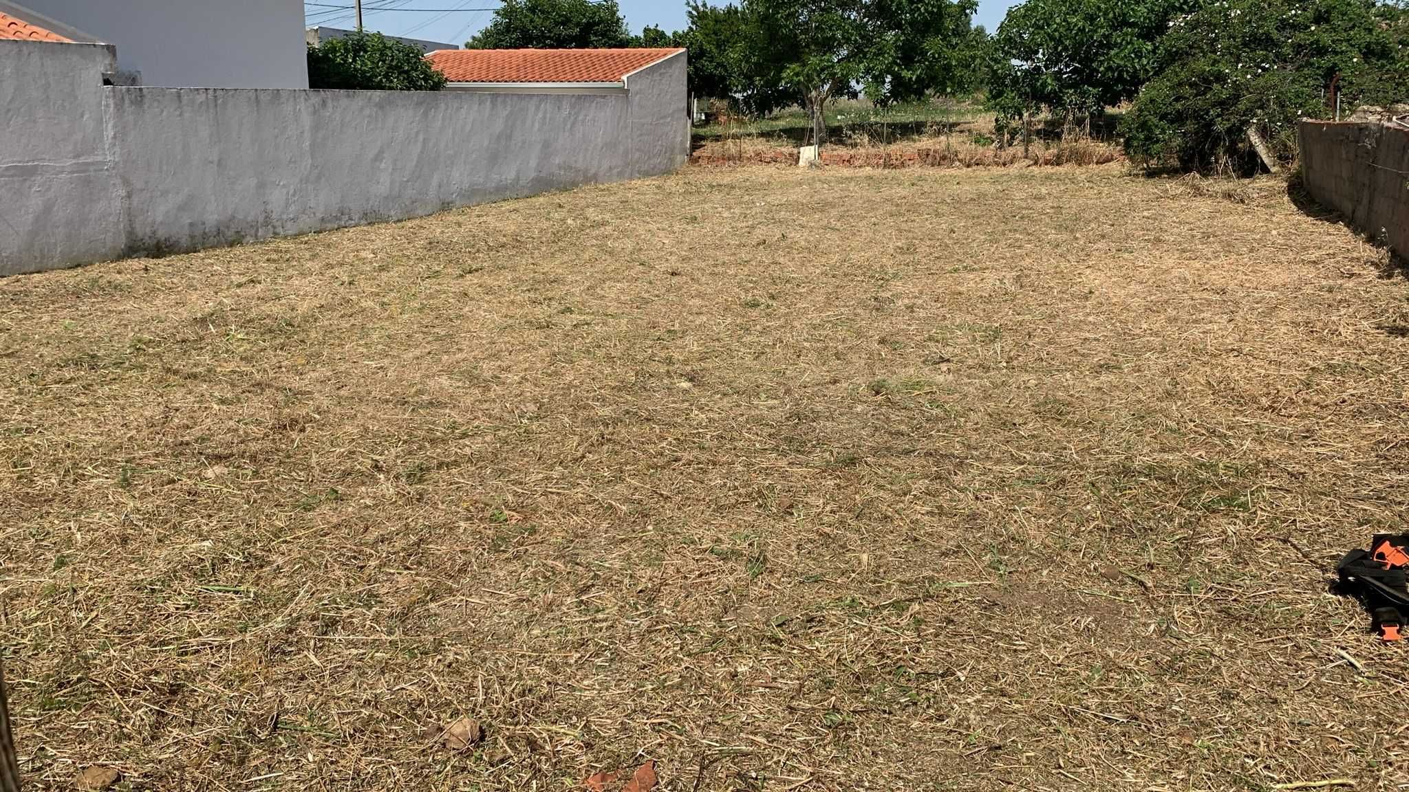 Serviços de limpeza de terrenos e quintal