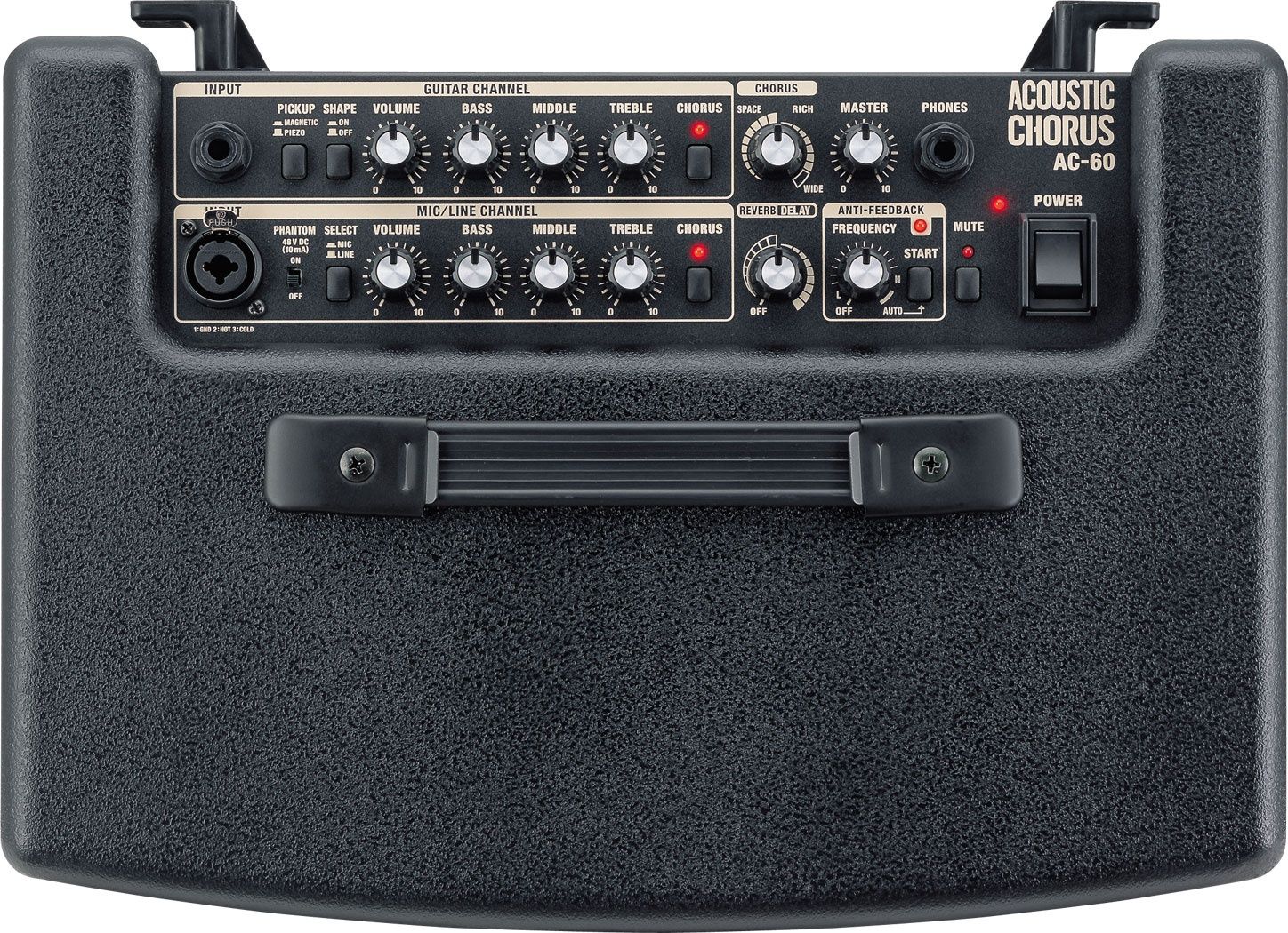 Amplificador Roland AC-60