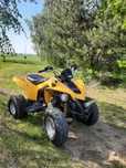 Can am ds250 Quad 250