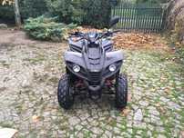 Quad  DINLI 300 zarejestrowany
